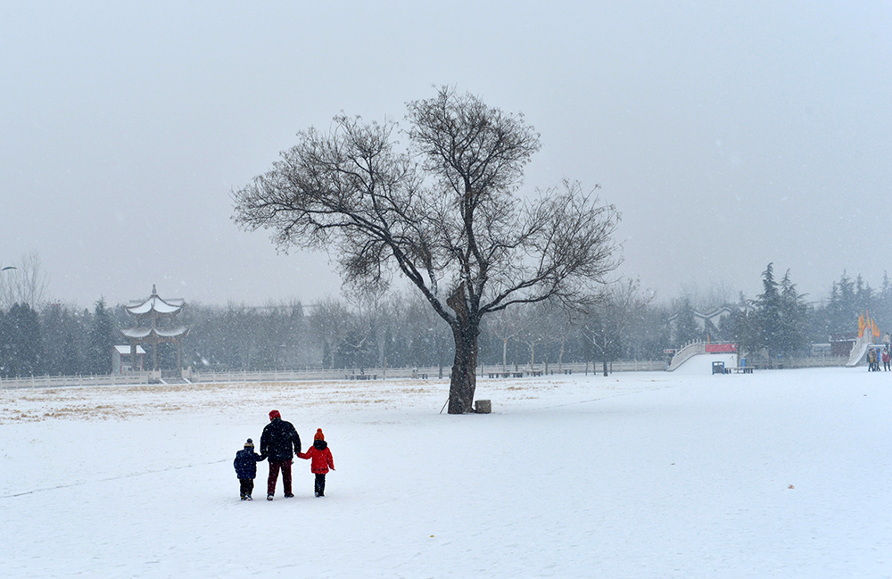 DSC_6161.JPG