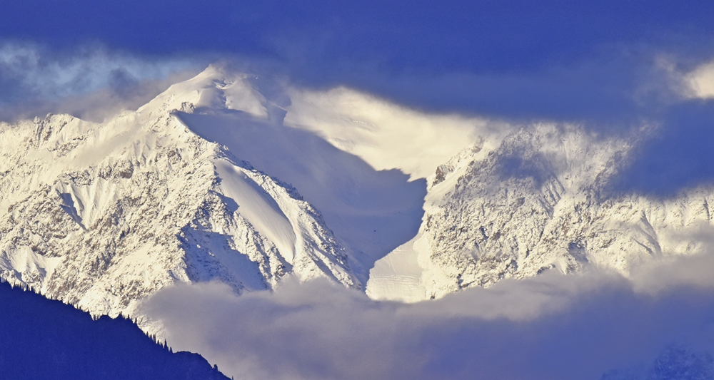 DSC_2433__.jpg
