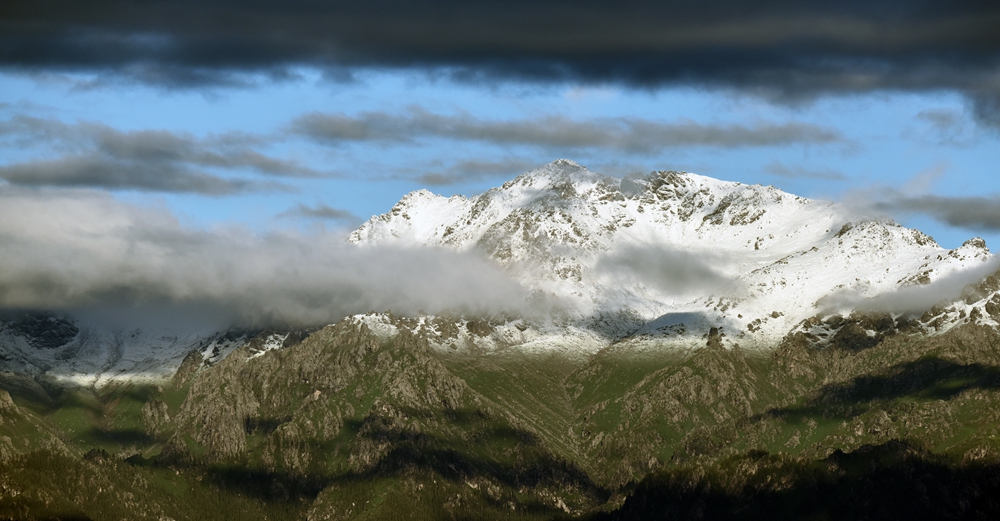DSC_2478_.jpg