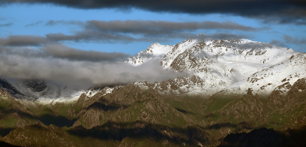 DSC_2486_.jpg