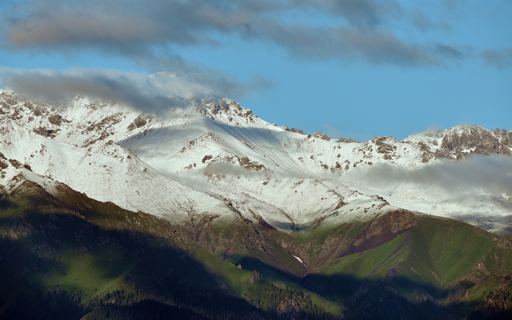 DSC_2523__.jpg
