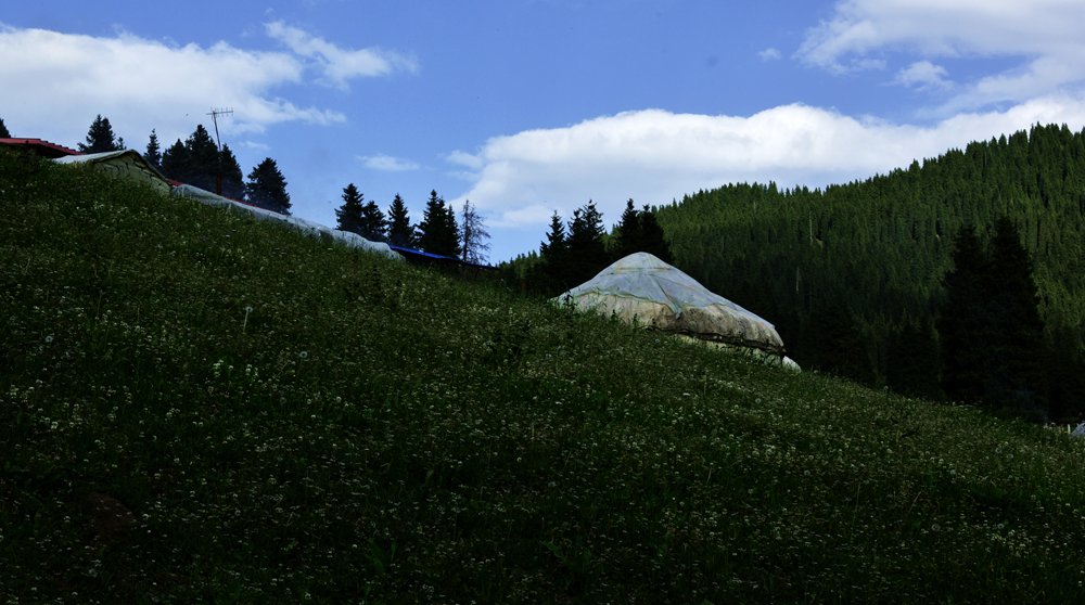 DSC_3416_.jpg
