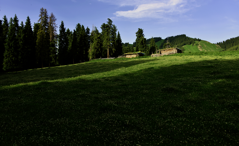 DSC_3462_.jpg