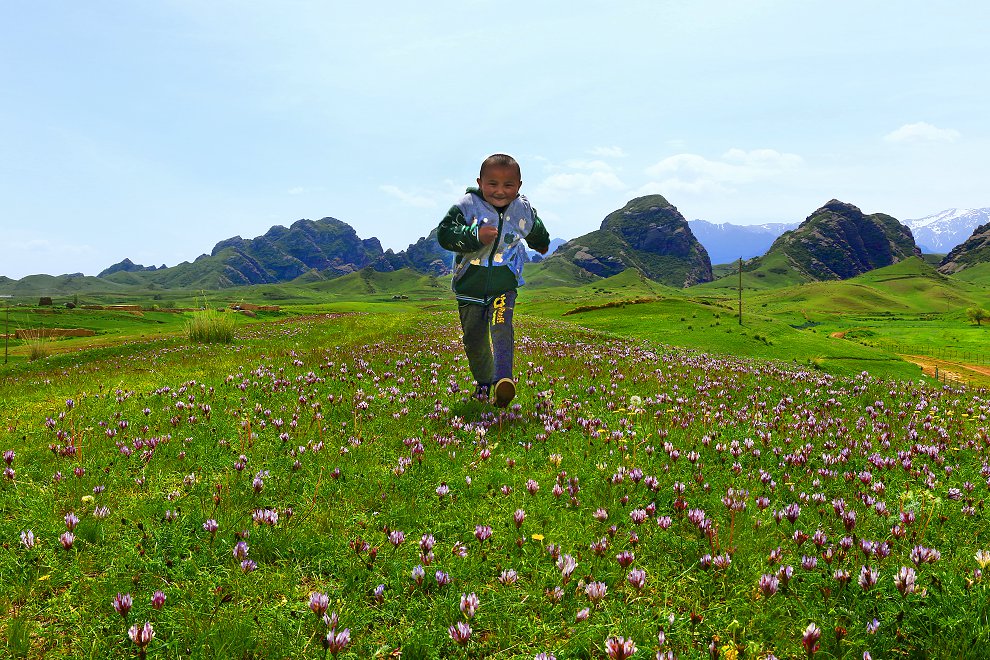 D40474.jpg