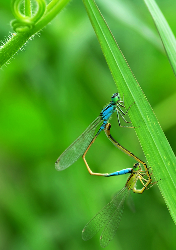 DSC_1677.JPG