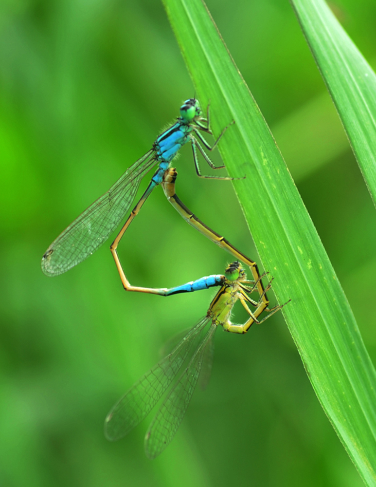DSC_1676.JPG
