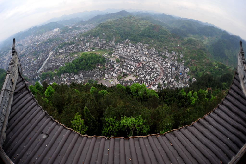 DSC_9782.jpg