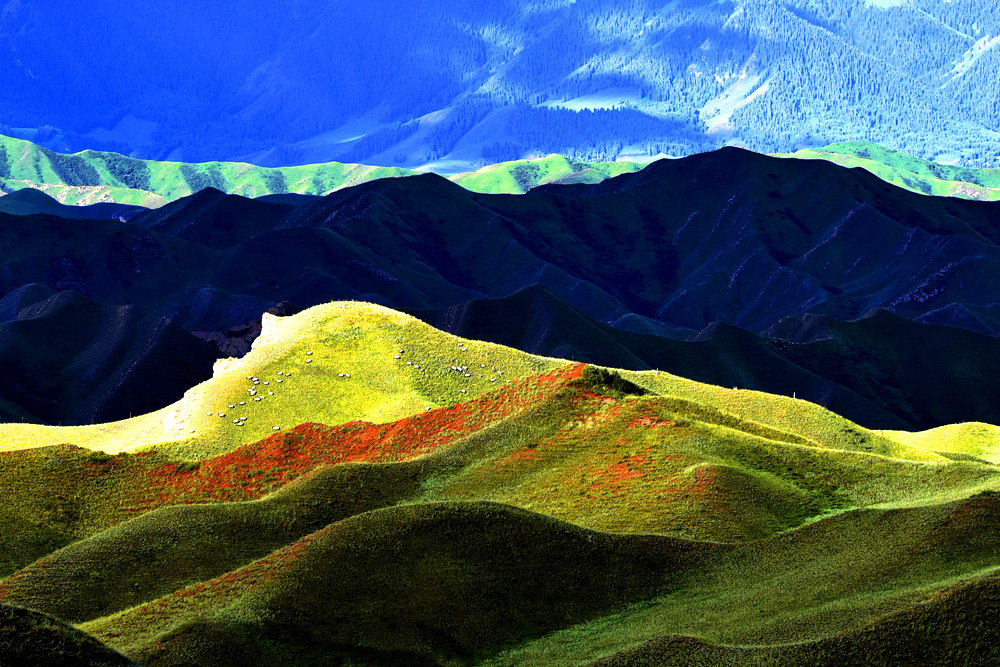 优秀奖：《天山景色》知足常乐摄.jpg