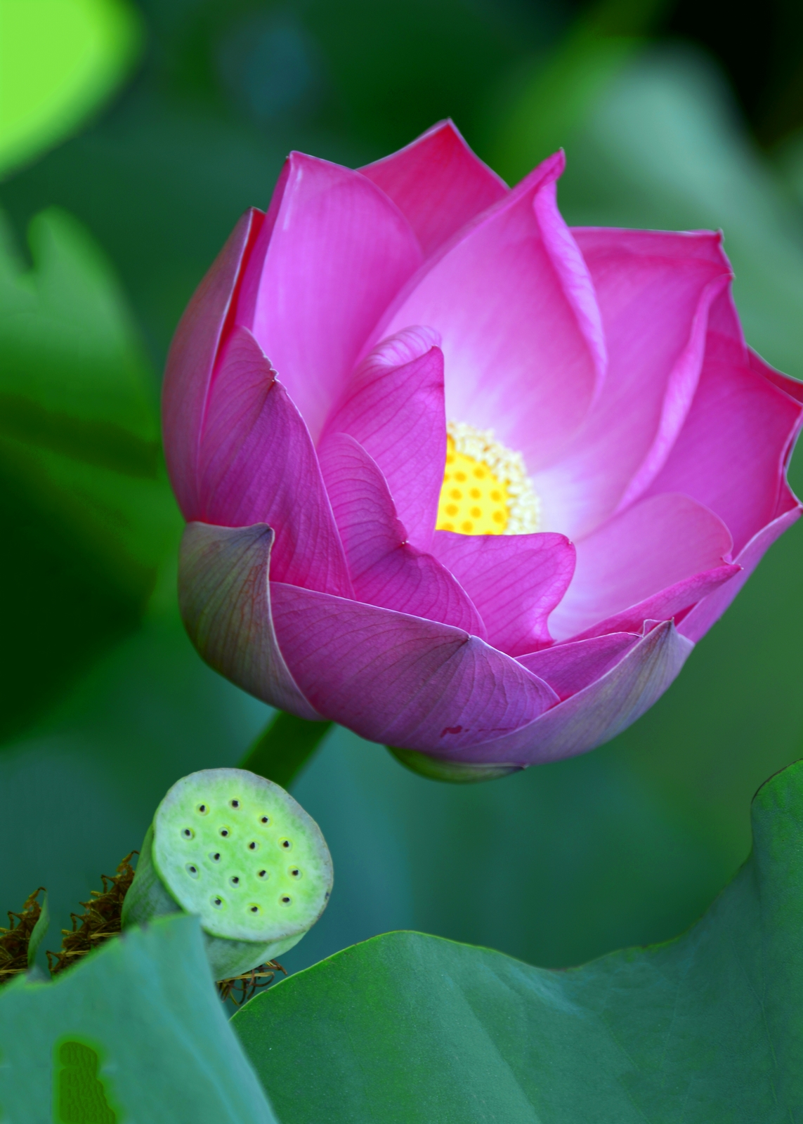 nEO_IMG__DSC3514.jpg