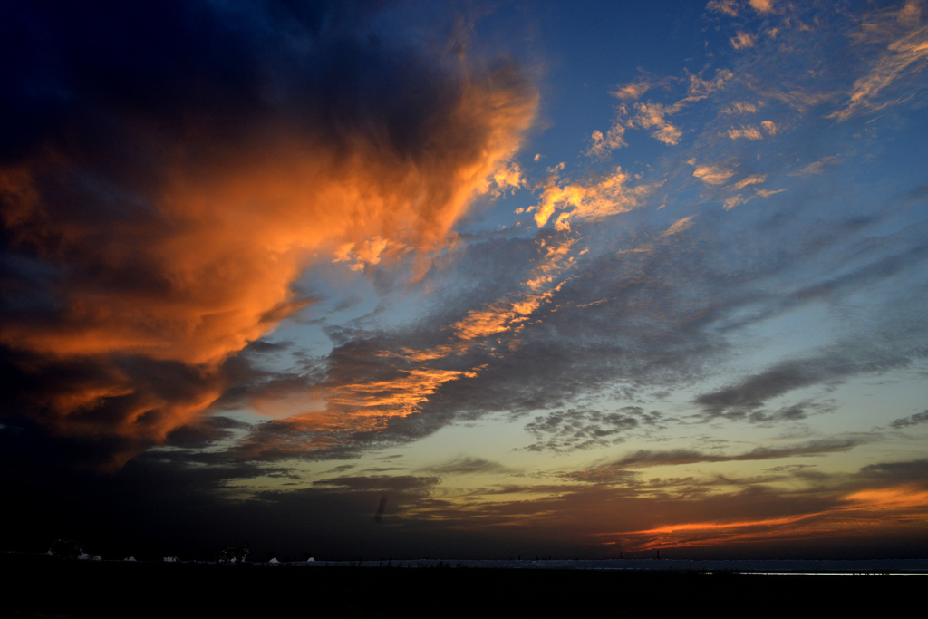 _DSC9239.jpg