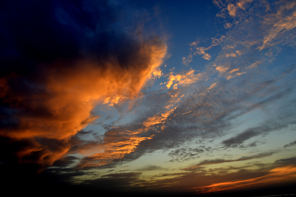 _DSC9249---.jpg