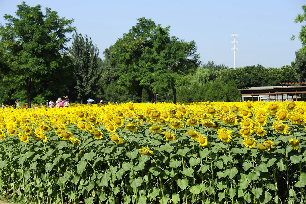 QXY4820_.jpg