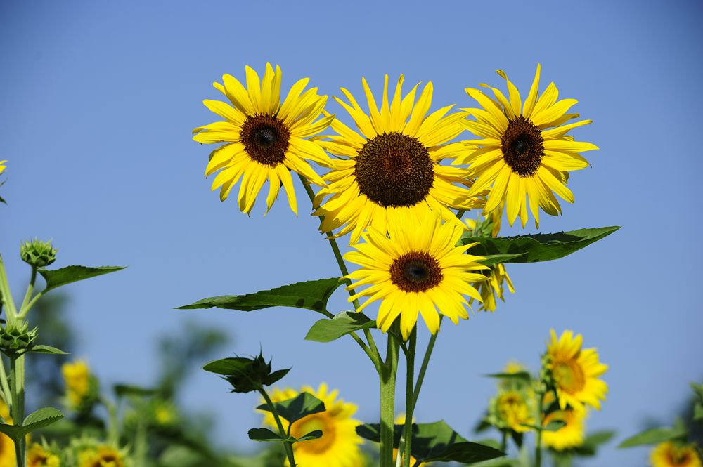 QXY4828_.jpg