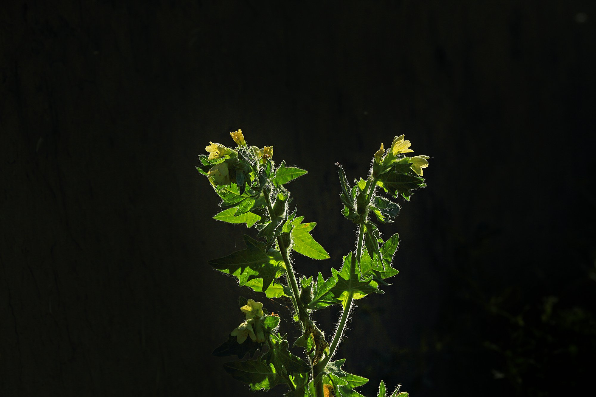 D41752.jpg