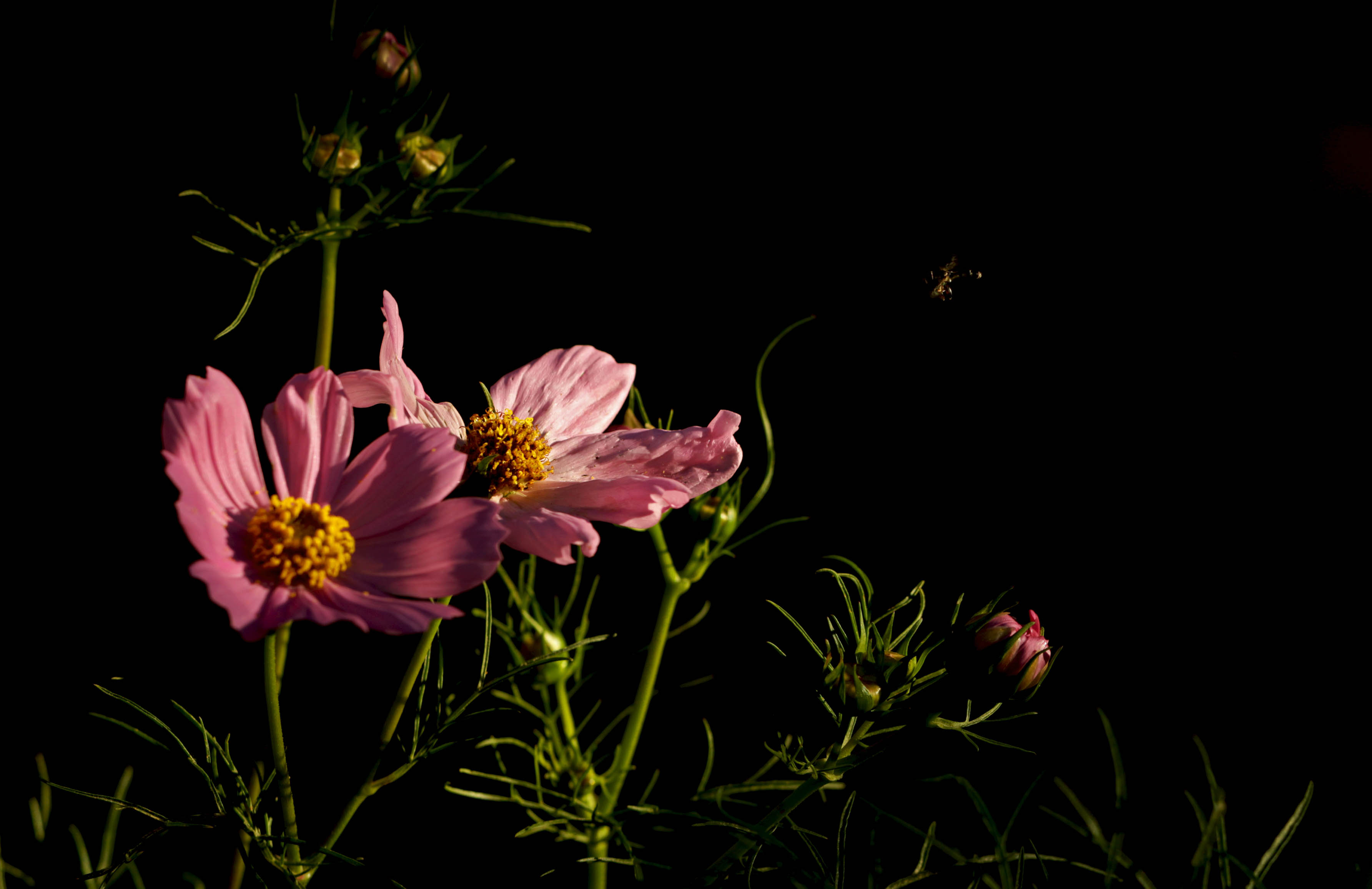 739A5080@.jpg