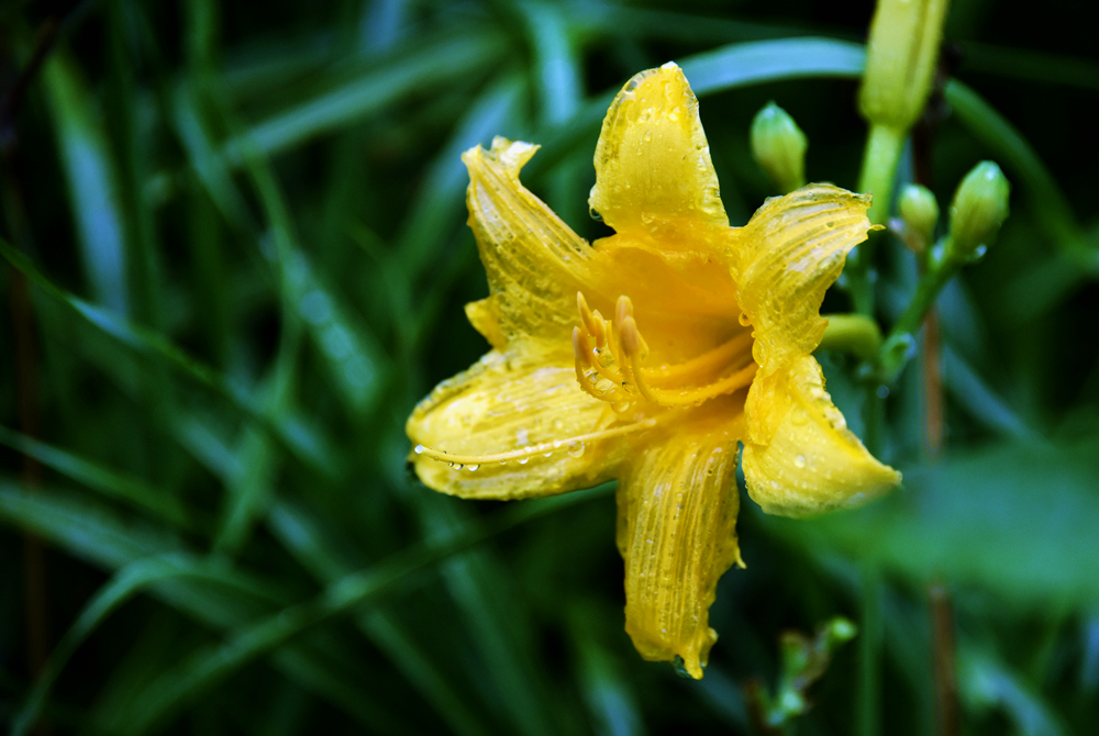 DSC_4863_.jpg