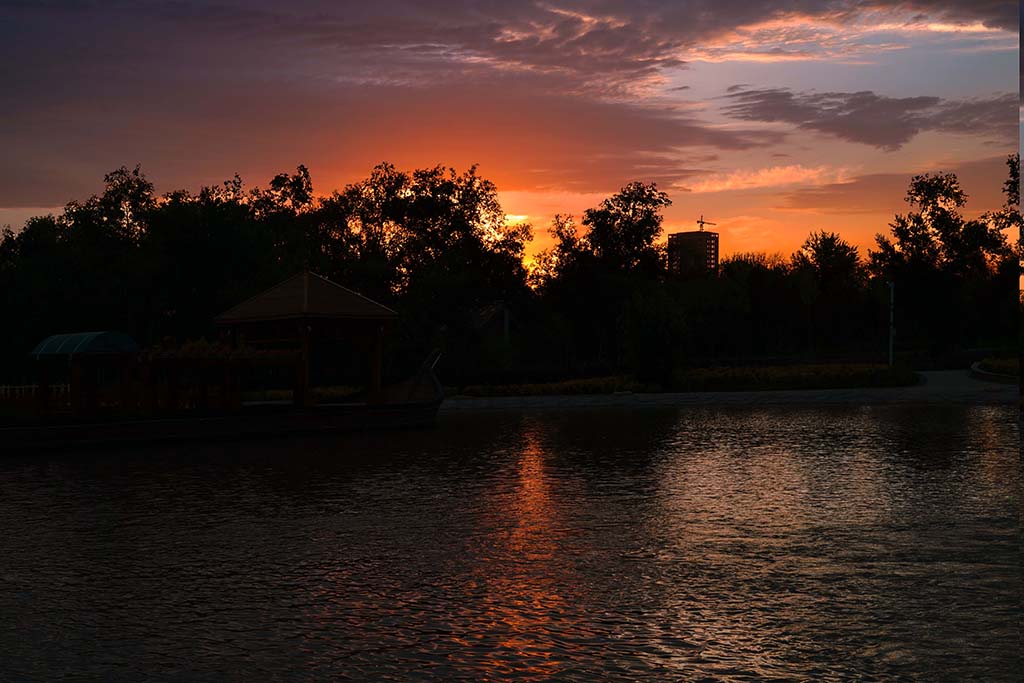 DSC02447.JPG