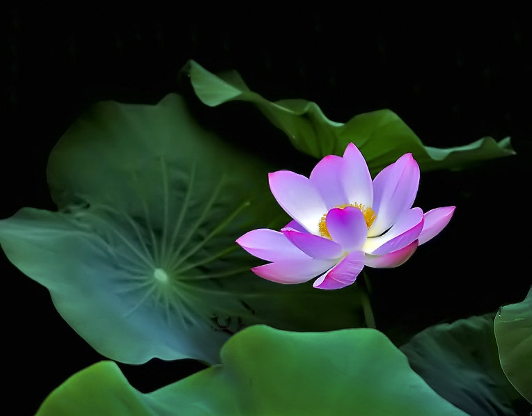DSC_6517xx.jpg