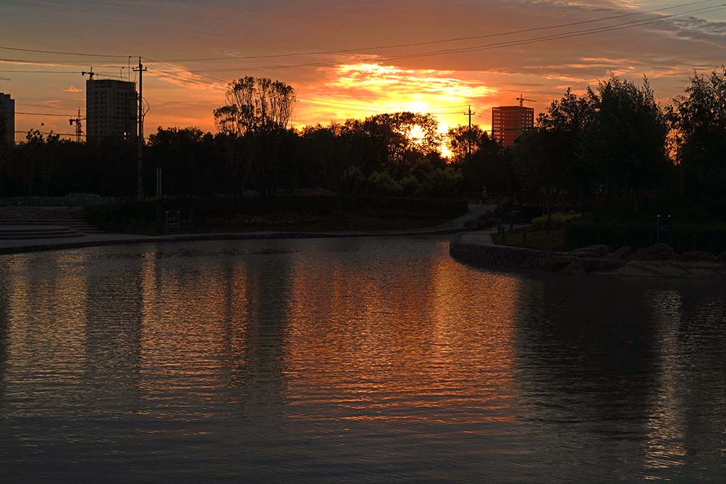 DSC02454.JPG