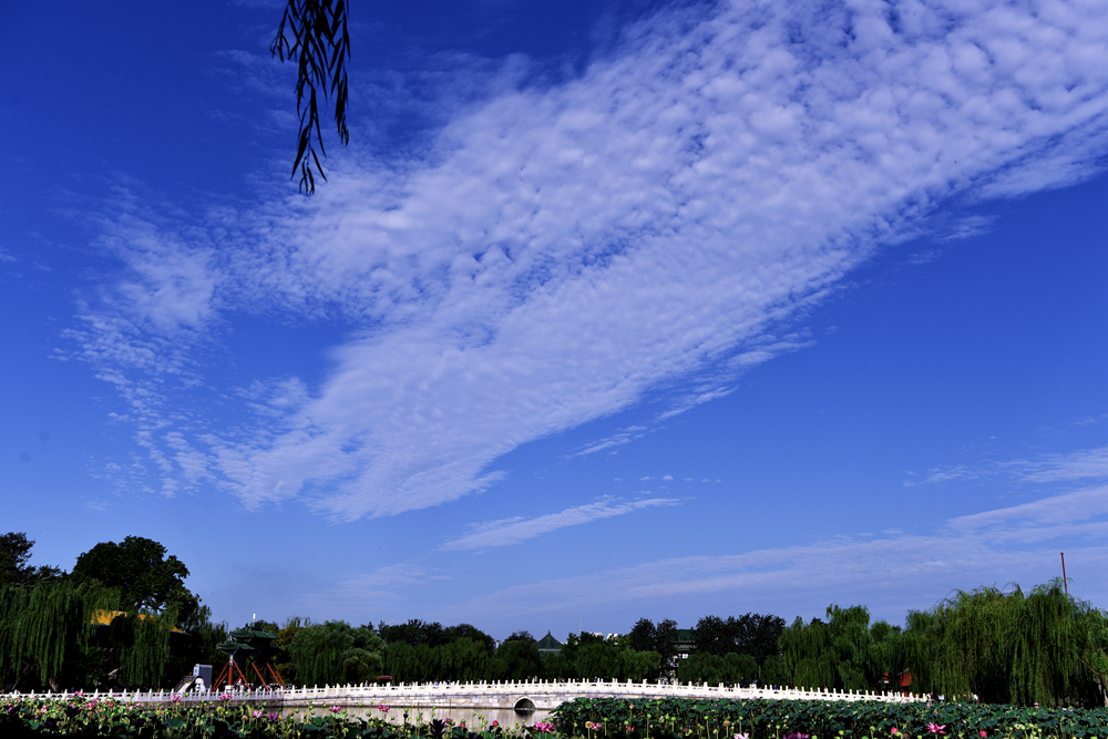 DSC_5605_.jpg