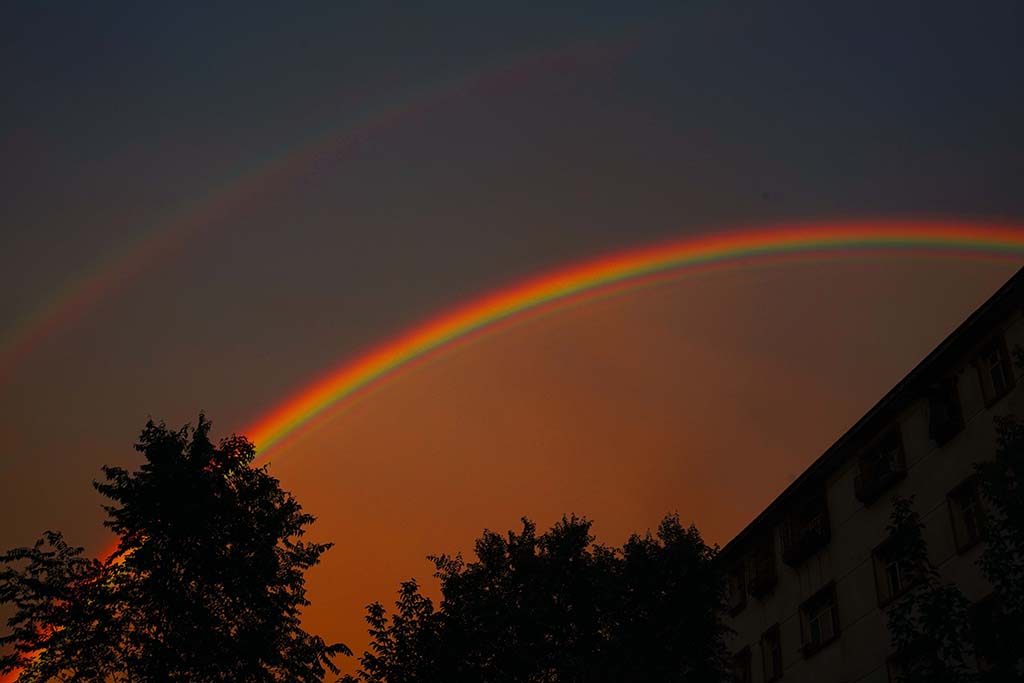 DSC02479.JPG