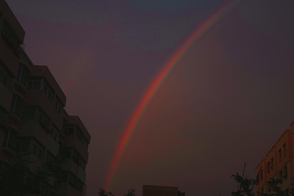 DSC02488.JPG