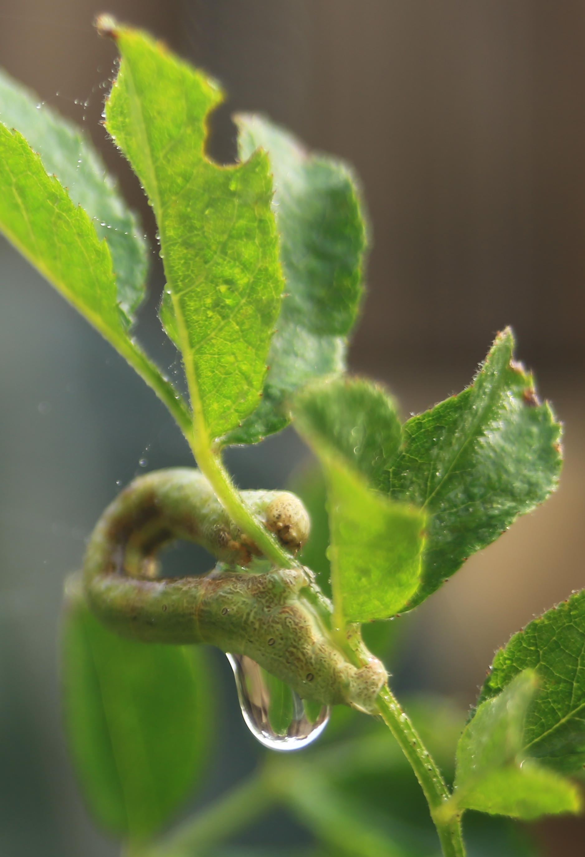 4U4A01190.jpg