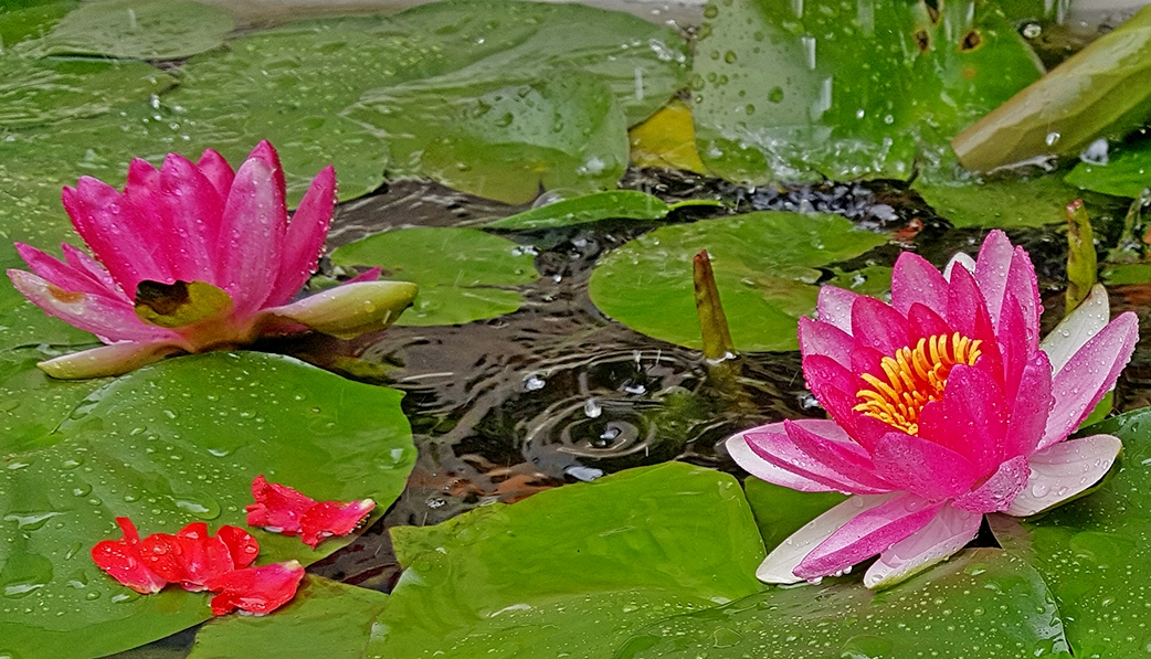 20160703_113703_mh14675209941820.jpg
