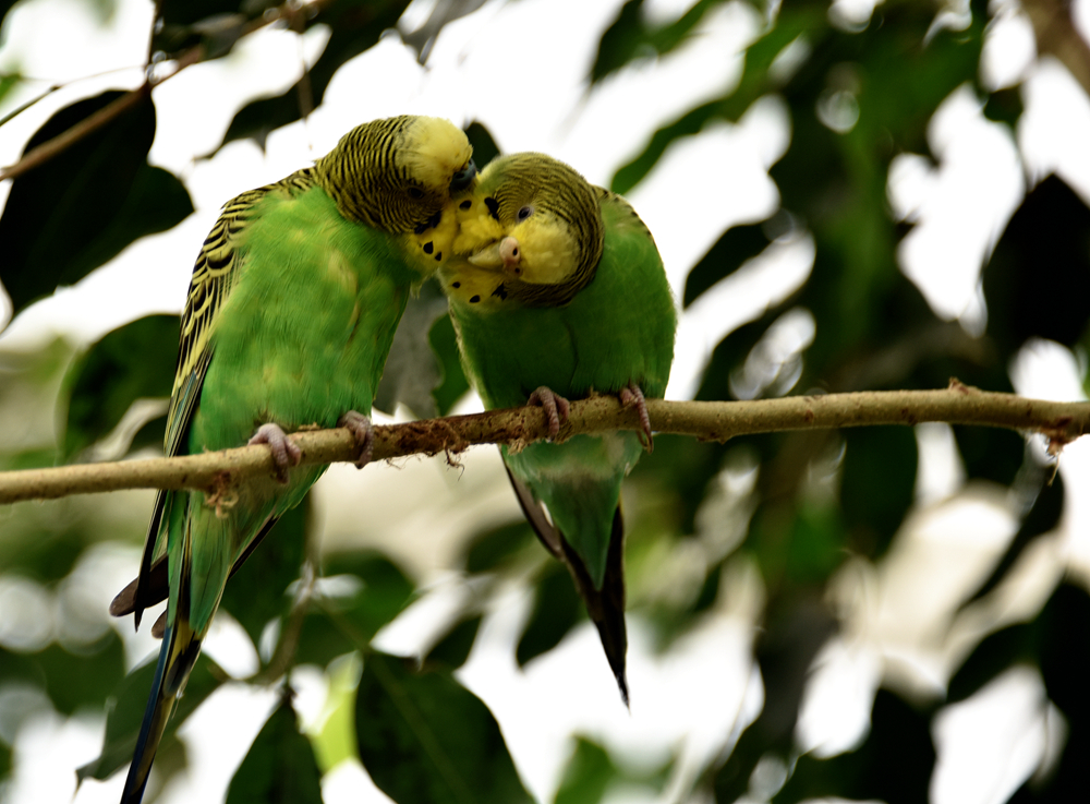 DSC_5307_.jpg