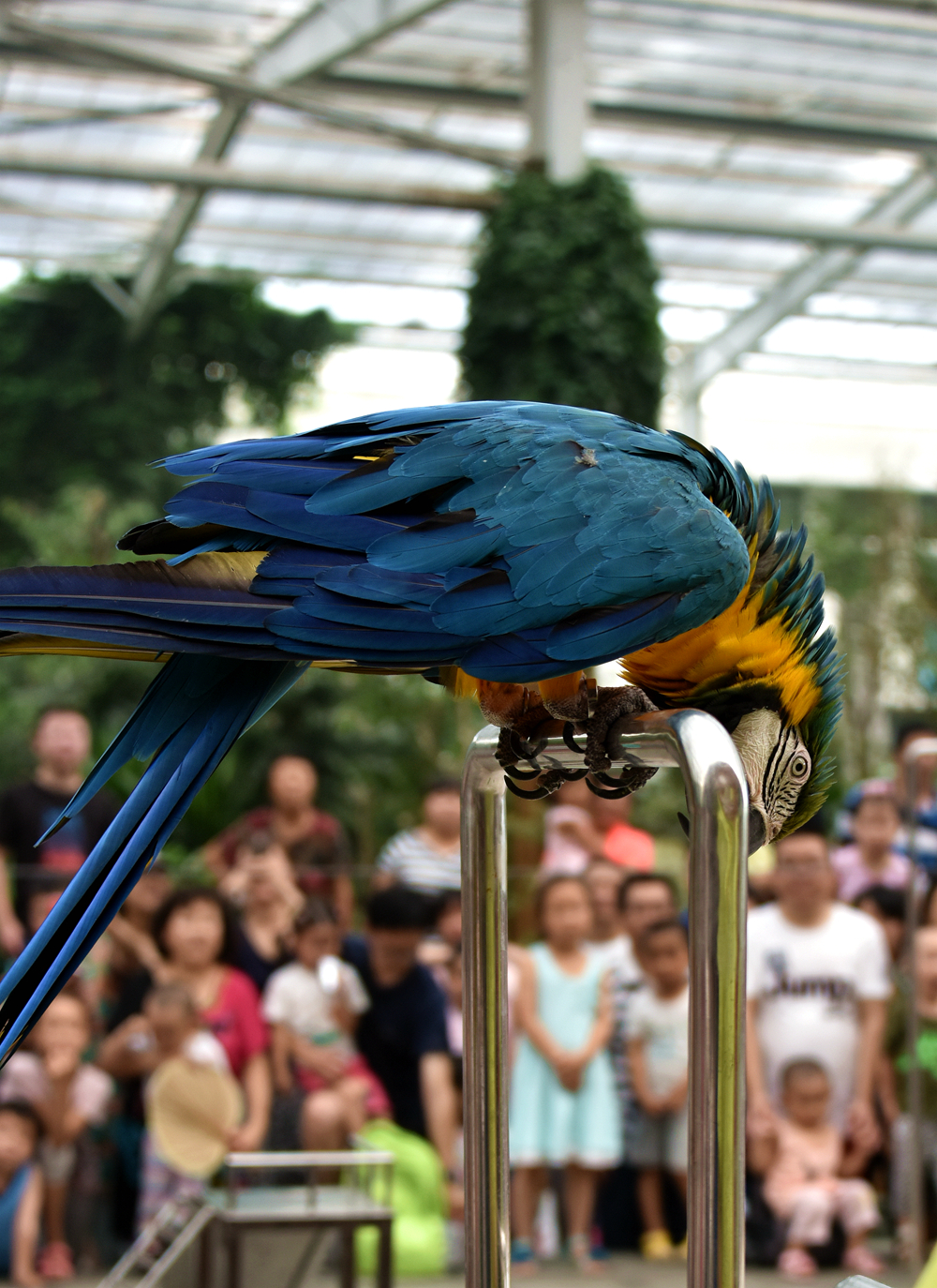 DSC_5276_.jpg