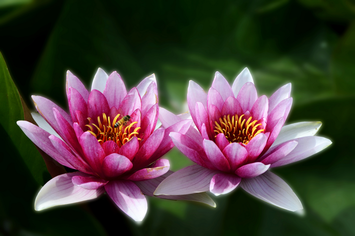 nEO_IMG__DSC3820.jpg