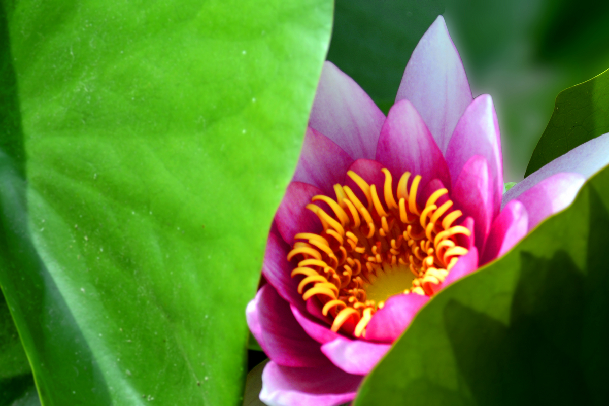 nEO_IMG__DSC3818.jpg