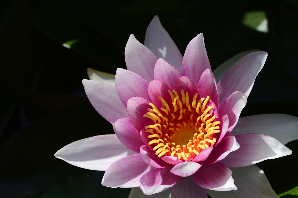 nEO_IMG__DSC3769.jpg