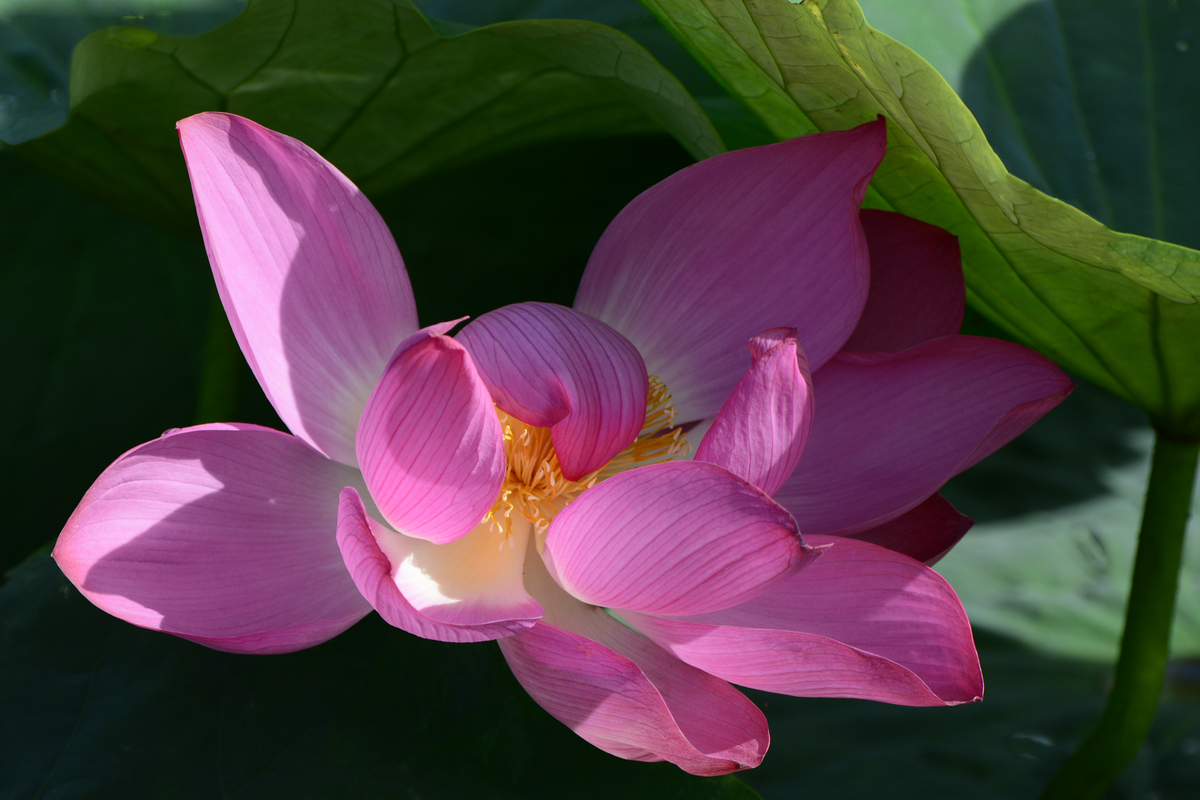 nEO_IMG__DSC3766.jpg