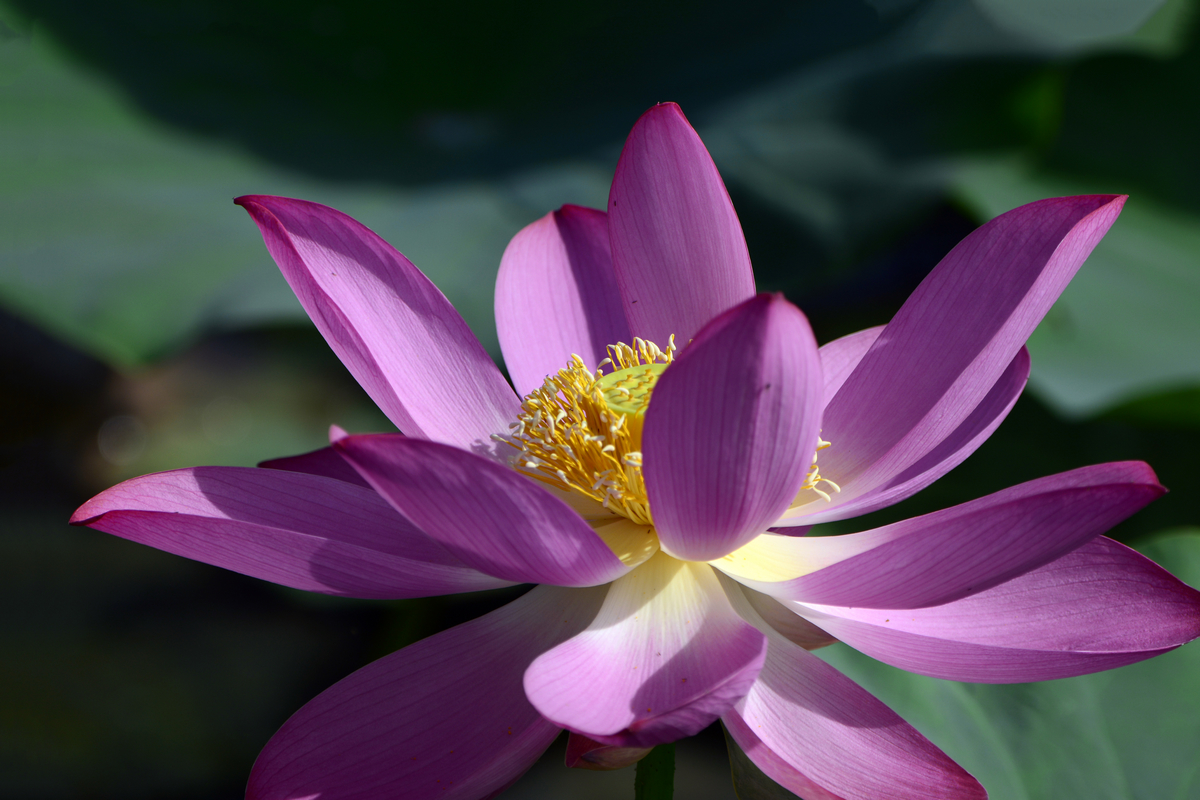 nEO_IMG__DSC3760.jpg
