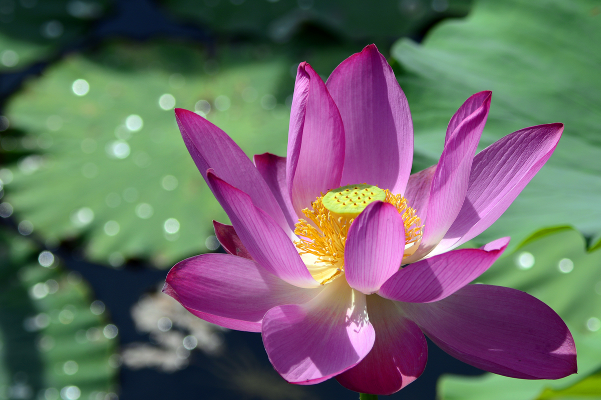 nEO_IMG__DSC3758.jpg