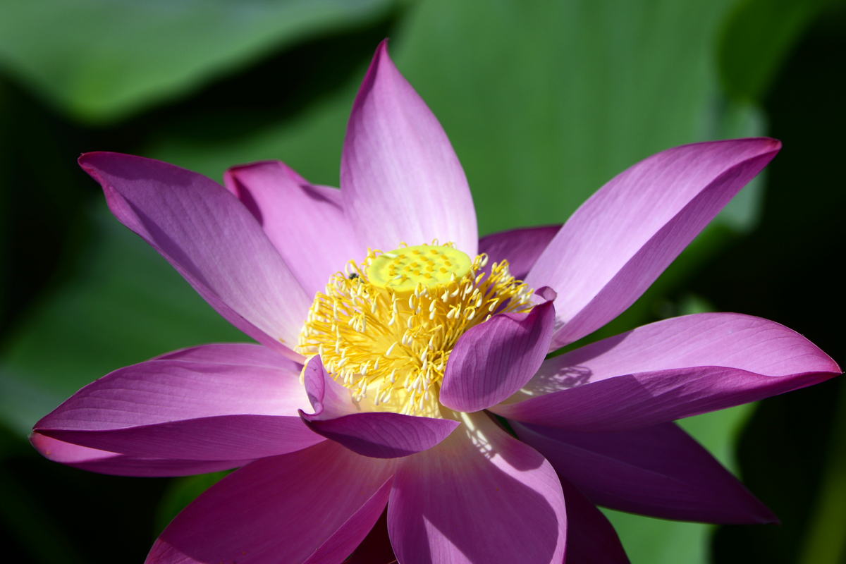 nEO_IMG__DSC3750.jpg