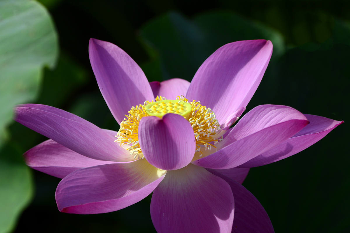 nEO_IMG__DSC3746.jpg