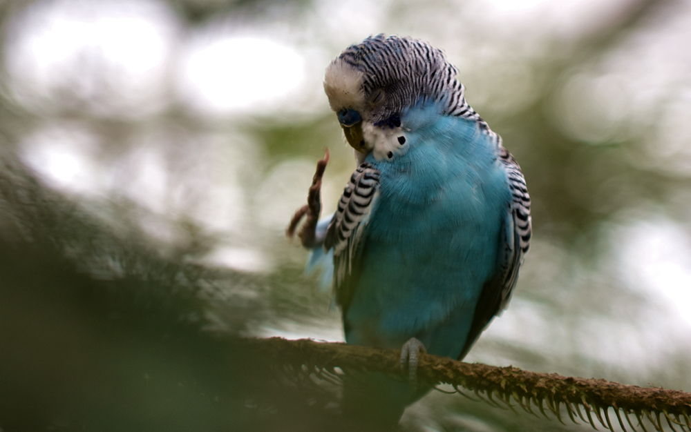 DSC_5410__.jpg