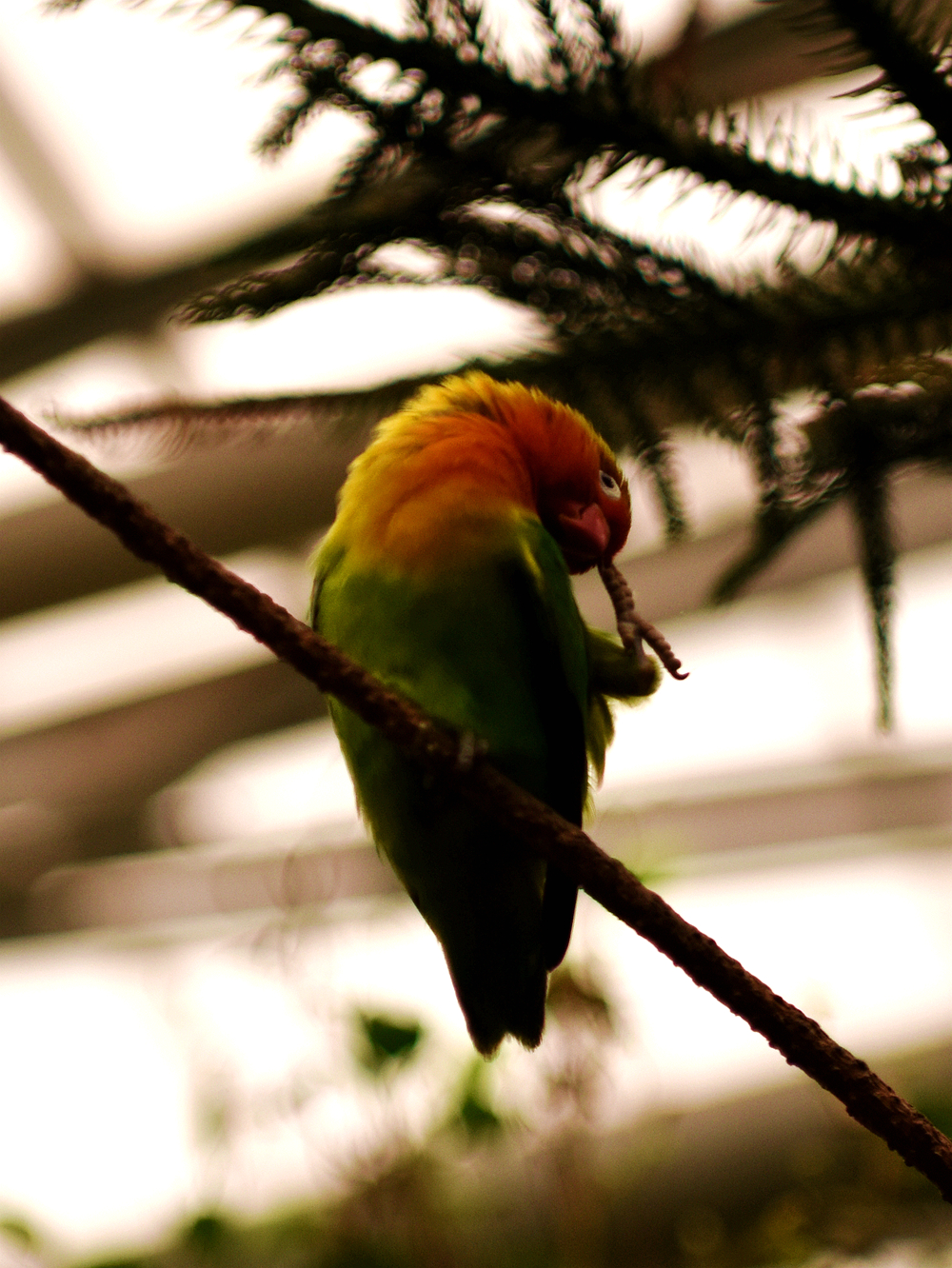 DSC_5418_.jpg