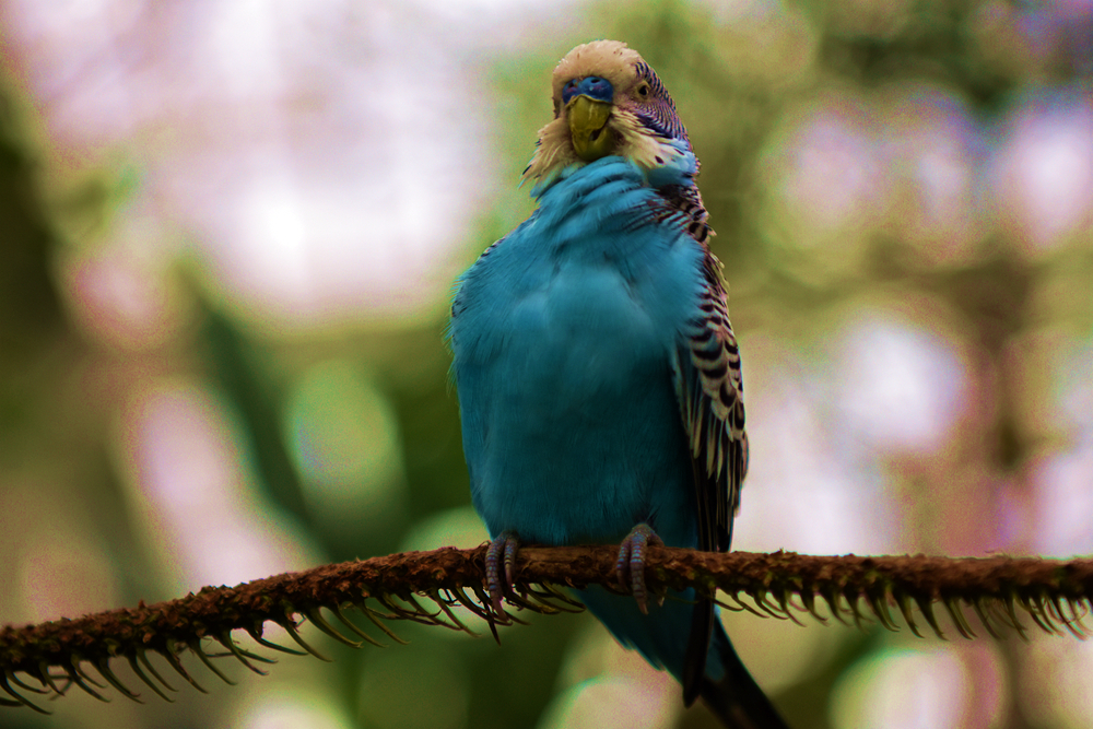 DSC_5413_.jpg