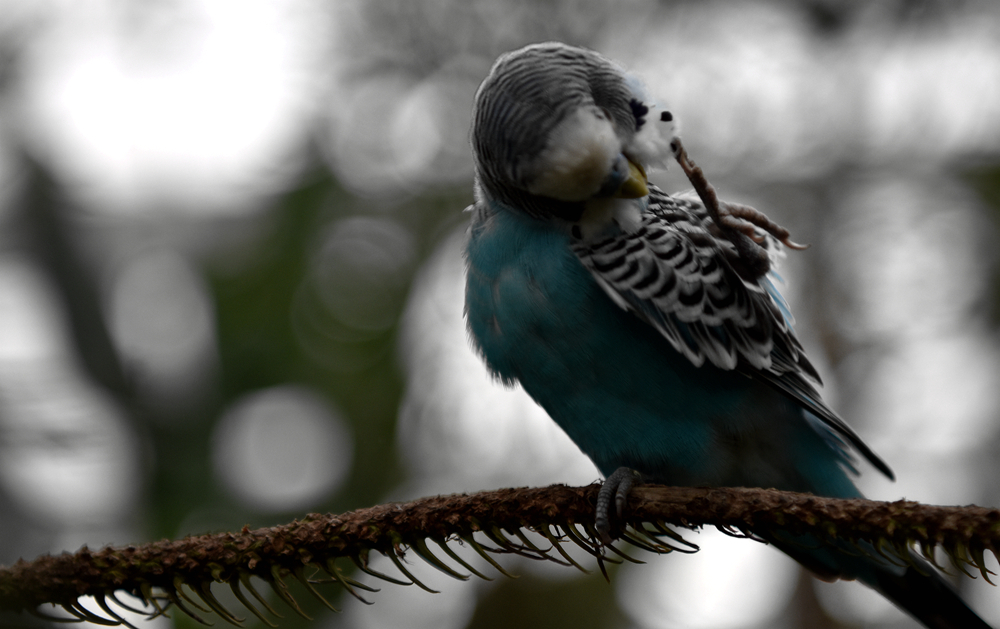 DSC_5414_.jpg