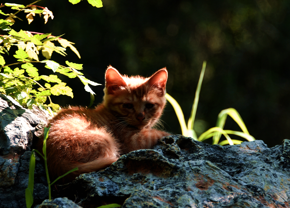 DSC_5683_.jpg