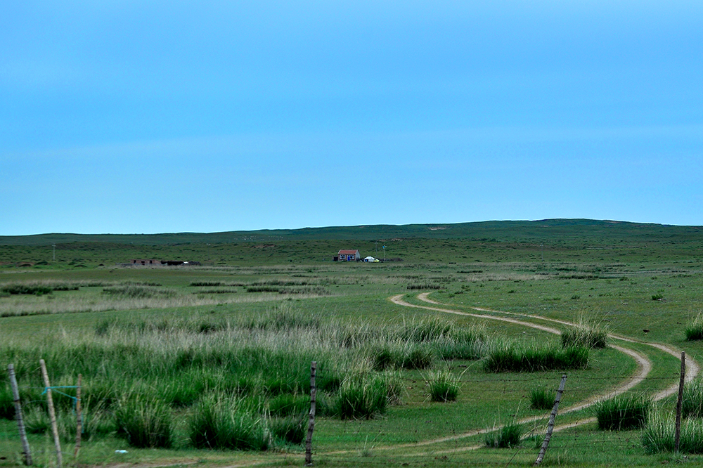 DSC_0013.JPG