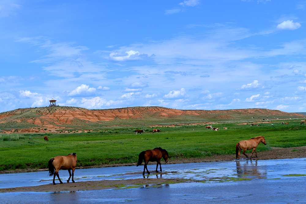 DSC_7926.JPG