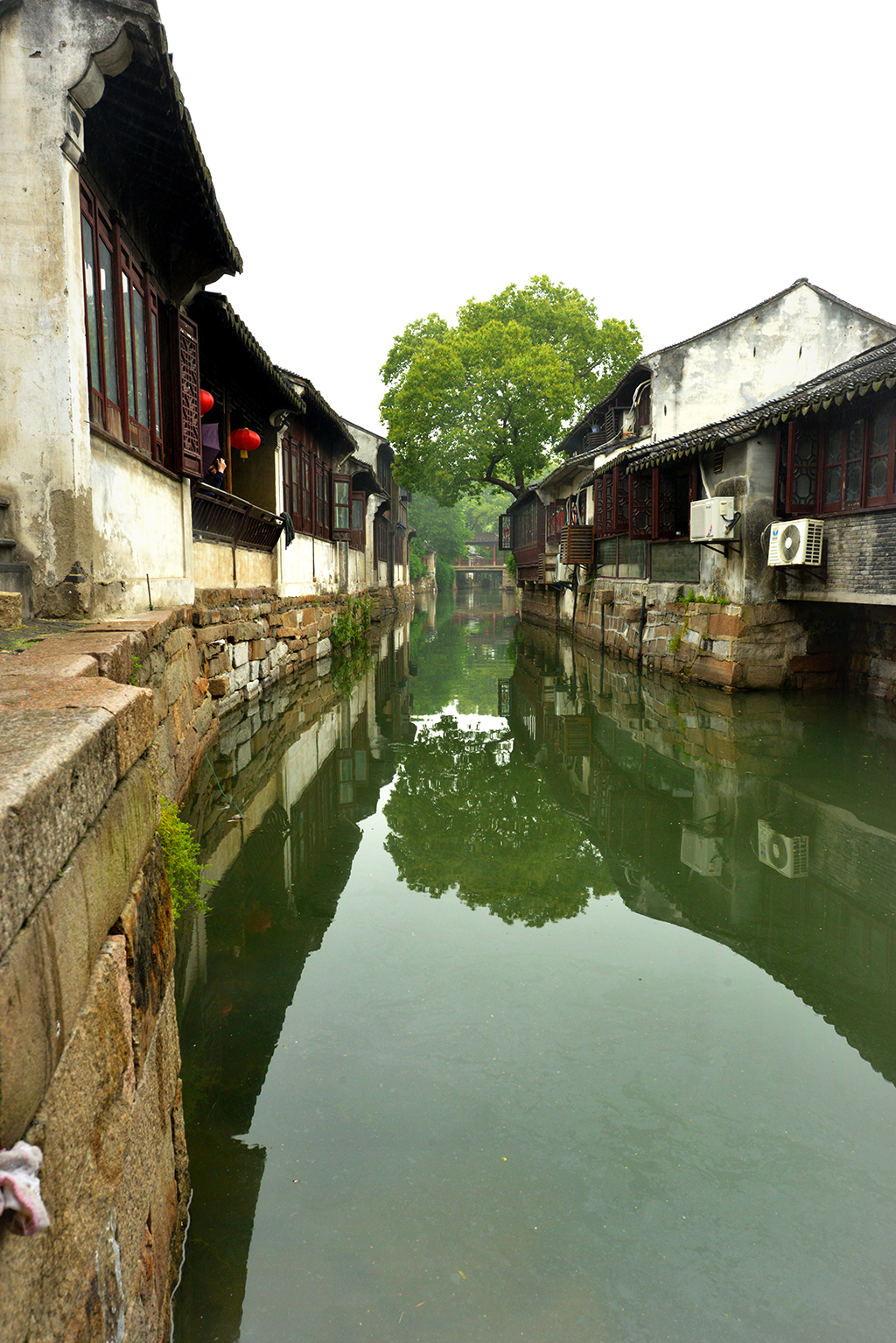 DSC_4493.JPG