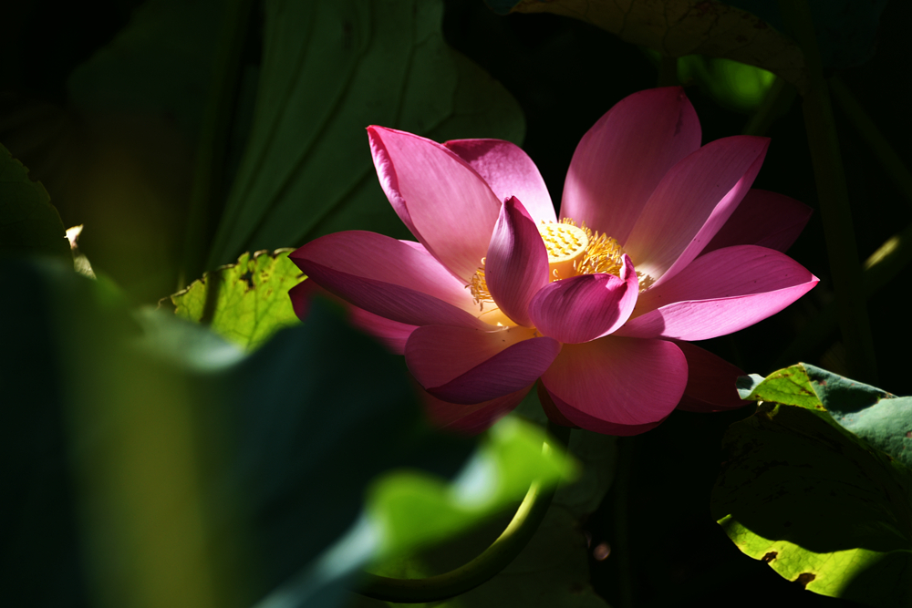 DSC_5665_.jpg