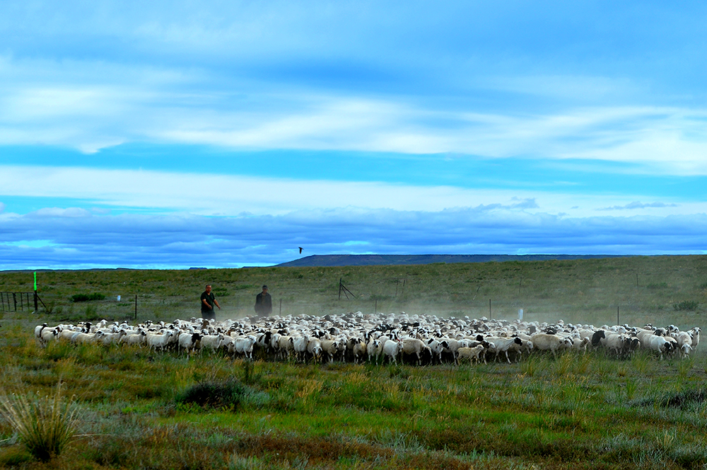 DSC_0007.JPG