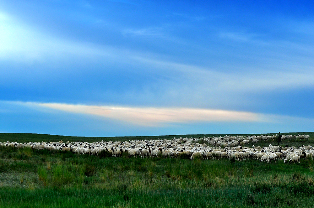 DSC_0001.JPG