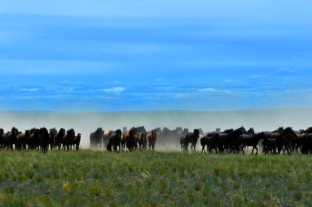 DSC_0257.JPG